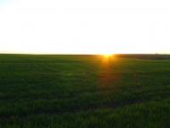 Данило-Іванівка з panoramio.com