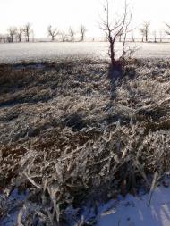 Роздолля з panoramio.com