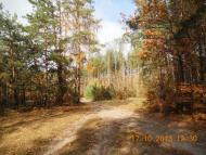 Бондарня з panoramio.com