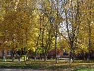 Попівка з panoramio.com