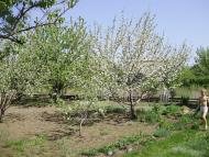 Темрюк з panoramio.com