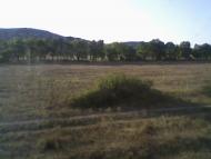 Мостовое - Последние фото