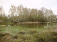 Травневе з panoramio.com