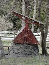 Котів з panoramio.com