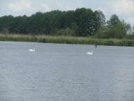 Час над рікою пливе...