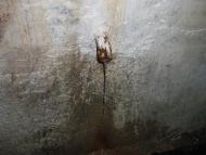 Верхня Грабівниця з panoramio.com