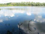 Велика Павлівка з panoramio.com