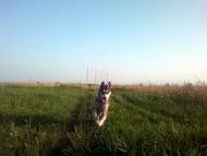 Утішків з panoramio.com