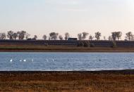 Новоюловка - Последние фото