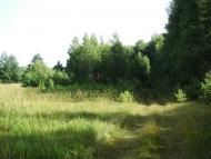 Ганнусине з panoramio.com