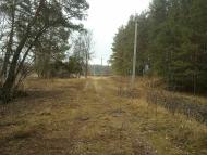 Тросне з panoramio.com