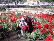 Татарбунари з panoramio.com