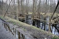 Терентіївка з panoramio.com
