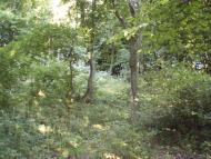 Спасів з panoramio.com