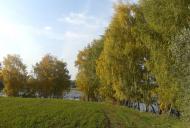 Блощинці з panoramio.com