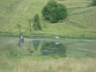 Потапці з panoramio.com