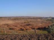 Новий Стародуб з panoramio.com
