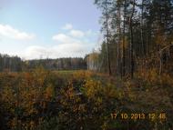 Бондарня з panoramio.com