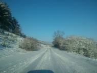 Саранчуки з panoramio.com