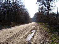 Великі Зозулинці з panoramio.com