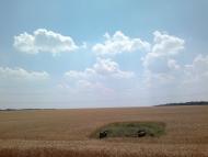 Максимільянівка з panoramio.com