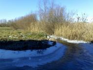 Кам'яне - Останні фото