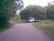 Глинськ з panoramio.com