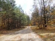 Бондарня з panoramio.com