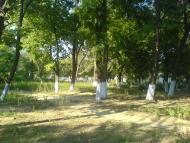 Городнє з panoramio.com