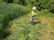 Бурилове - Останні фото