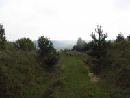 Крутнів з panoramio.com