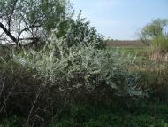 Острівка з panoramio.com