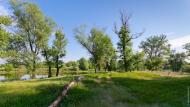 Червоний Шахтар з panoramio.com