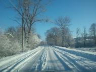 Саранчуки з panoramio.com