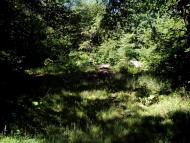 Пугачівка з panoramio.com