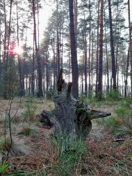 Полонне з panoramio.com