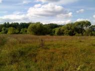 Чорногородка з panoramio.com