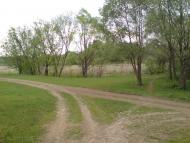 Зарябинка з panoramio.com