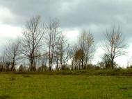 Вихрівка - Останні фото