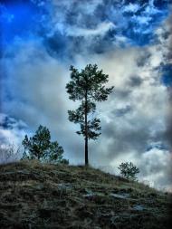 Медведівка з panoramio.com