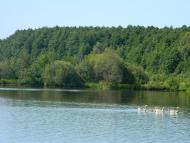 Півнівщина з panoramio.com