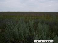 Нова Шибка з panoramio.com