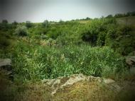 Августівка з panoramio.com