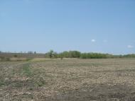 Острівка з panoramio.com