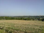 Немирівське з panoramio.com