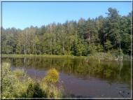 Гута з panoramio.com