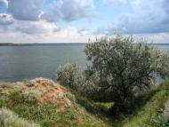 Лимани з panoramio.com