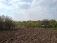 Зарябинка з panoramio.com