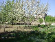 Темрюк з panoramio.com