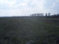 Спасів з panoramio.com